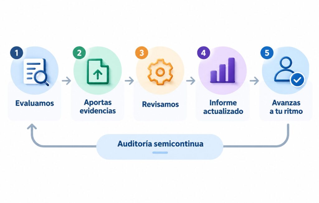 Proceso de auditoría semicontinua